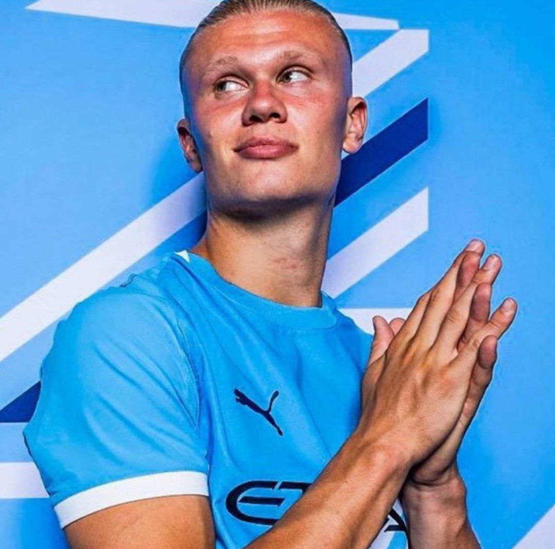 Ҳолланд бозингари